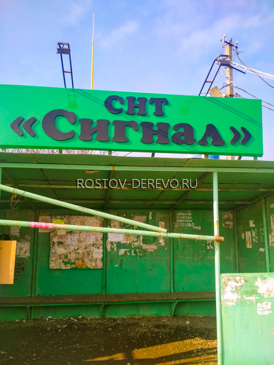 снт "сигнал" ростов-на-дону